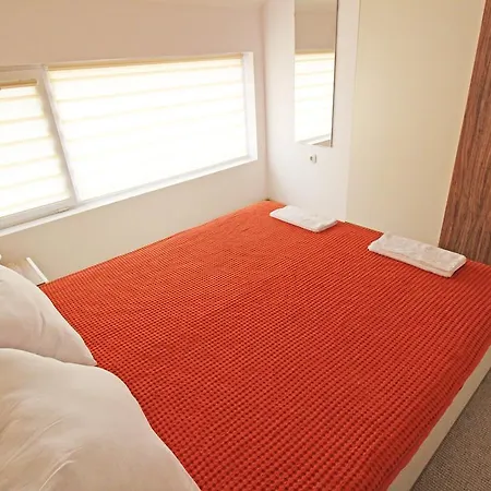 Lilly * 普罗夫迪夫