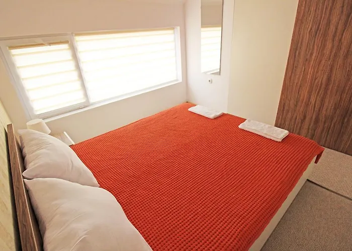 Lilly * 普罗夫迪夫